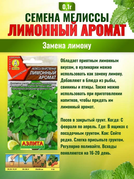 Агрофирма АЭЛИТА Семена Мелисса лекарственная Лимонный аромат 3шт, 3 шт, фото 3