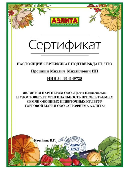 Агрофирма АЭЛИТА Семена Мелисса лекарственная Лимонный аромат 3шт, 3 шт, фото 4