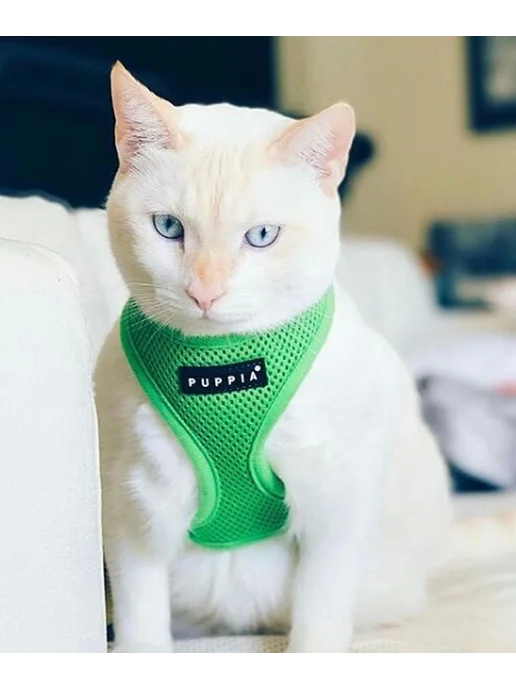Шлейка для собак PUPPIA "Soft Vest", зеленая, L (Южная, зеленый, фото 3