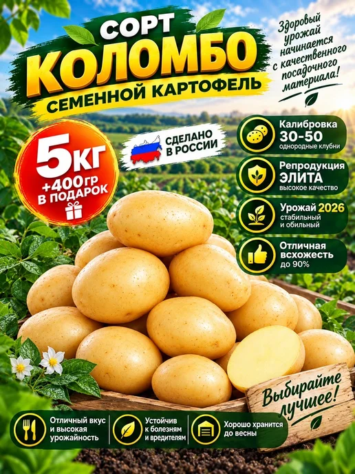 Нет бренда Картофель семенной сорт Коломбо 5кг+400гр в подарок, 5 кг, 400 г