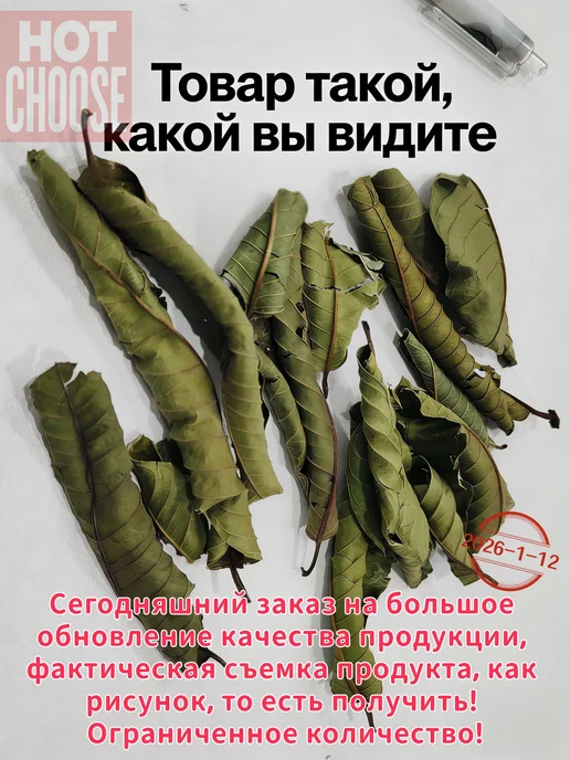 Сушеные листья гуанабаны, 50 г, 50 г