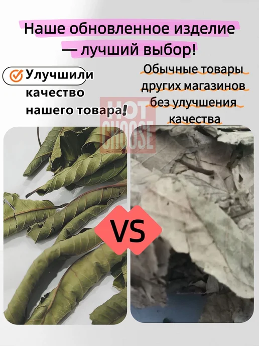 Сушеные листья гуанабаны, 50 г, 50 г, фото 4