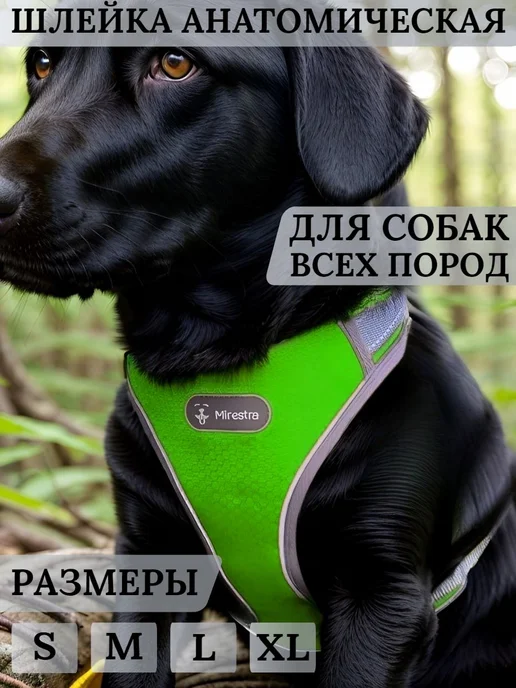 Анатомическая шлейка для собак средних и крупных пород, вариант