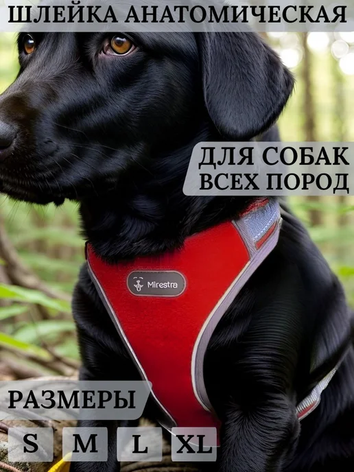 Анатомическая шлейка для собак средних и крупных пород, вариант