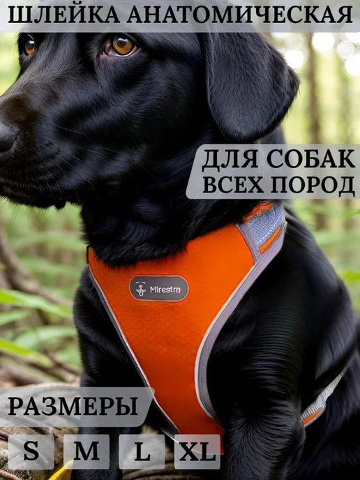Анатомическая шлейка для собак средних и крупных пород, вариант