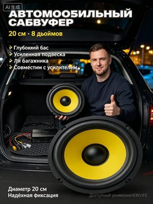 Автомобильный пассивный сабвуфер 20 см (8"), вариант