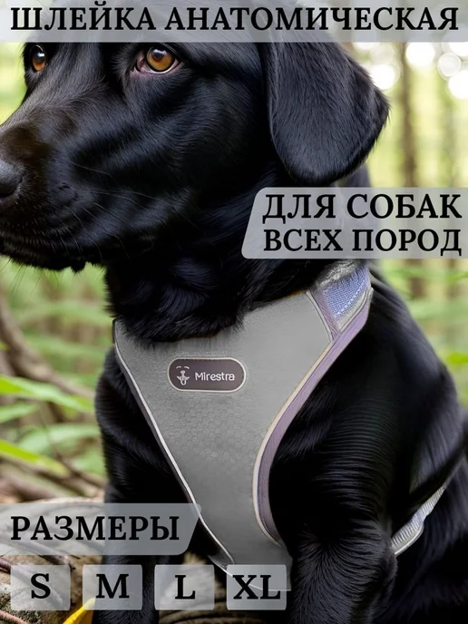 Анатомическая шлейка для собак средних и крупных пород, вариант