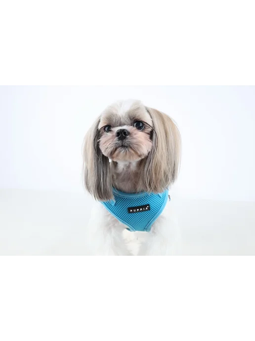 Шлейка для собак PUPPIA "Ritefit", голубая, S (Южная Корея), голубой, фото 3