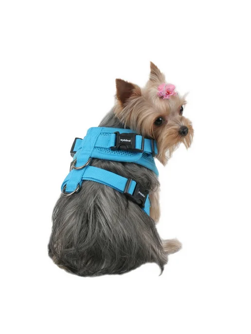Шлейка для собак PUPPIA "Ritefit", голубая, S (Южная Корея), голубой, фото 7