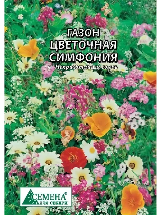 Семена для сибири Семена Газон Клевер белый, 30г, 30 г, фото 2