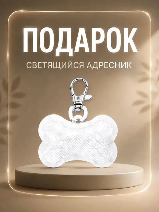 Hello family Комбинезон для собак непромокаемый, дождевик со шлейкой, фиолетовый, фото 2