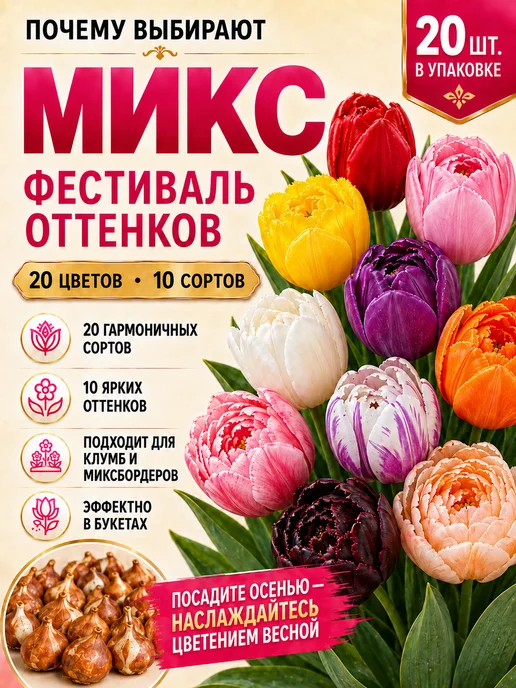 Луковицы Тюльпана Монте Карло 5 шт, 20 шт, фото 6
