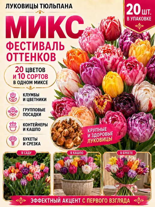 Луковицы Тюльпана Монте Карло 5 шт, 20 шт, фото 7