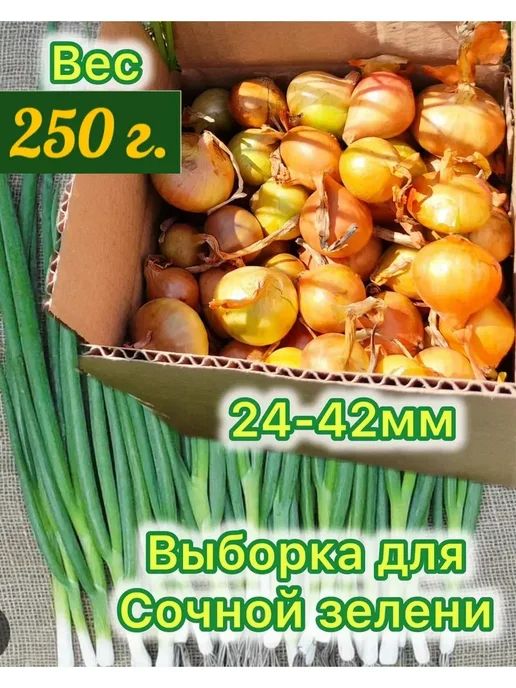 СЕВОЩ Лук севок для посадки на зелень, зеленый