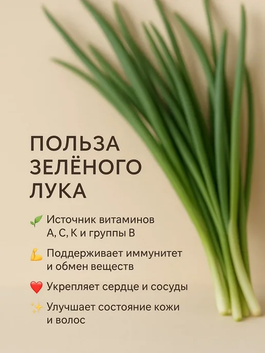 СЕВОЩ Лук севок для посадки на зелень, зеленый, фото 3