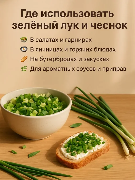 СЕВОЩ Лук севок для посадки на зелень, зеленый, фото 4
