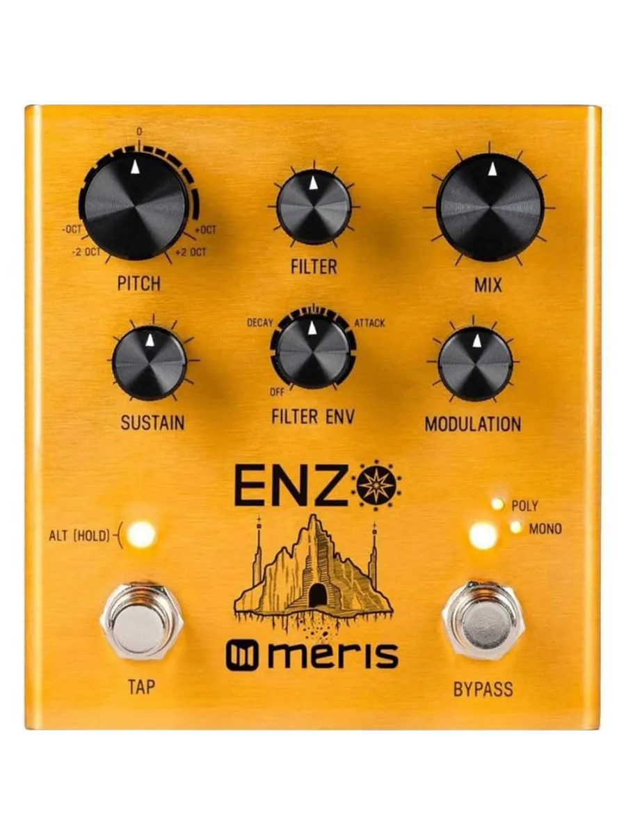 Which expression finds Enzo's net worth?