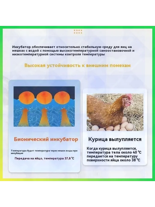 Инкубатор для яиц домашний с цифровым дисплеем, для куриных, вариант, фото 3